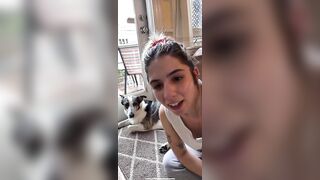 Live TikTok Flashing: Dog saw it first #2