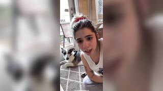 Live TikTok Flashing: Dog saw it first #3